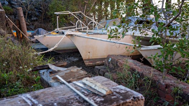 Old Damaged And Abandoned Catamaran Amongst Mangroves