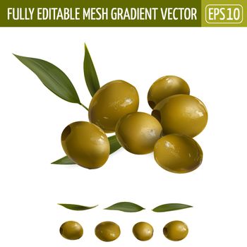 Green olives with leaves on a white background.