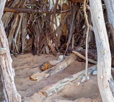 Inside A Fun Shelter Made Of Driftwood On The Beach