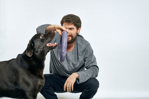 Man with dog training gray ring doing exercises pets light background. High quality photo