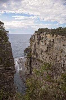 Cliffs Along The Rocky Coastline Of Tasmania