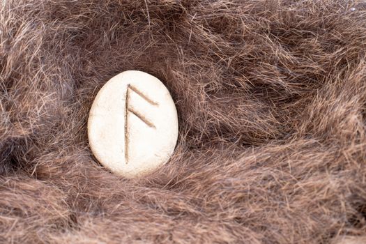 Ansuz Nordic stone rune on animal fur. Letter Aesc of the Viking alphabet.