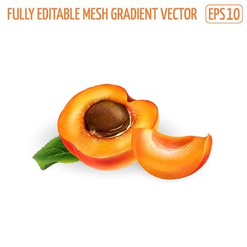 Ripe apricot half with pit and a slice on a white background.