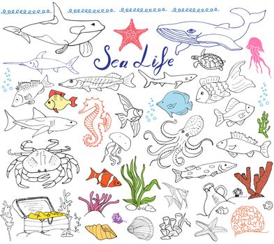 Big sea life animals hand drawn sketch set. doodles of fish, shark, octopus, star, crab, whale, turtle, seahorse, seashells andlettering, isolated