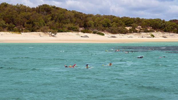 Tourists Snorkeling On The Great Barrier Reef Near Great Keppel Island