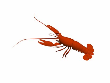 red lobster as a crustacean