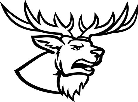 Head of a Red Deer or Cervus Elaphus Stag or Buck with Antlers Roaring Side View Mascot Black and White