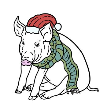 Chrismas card, pig wear Santa's red hat and green scarf.