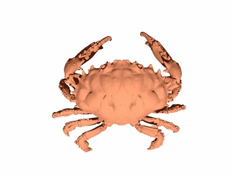 crusty beach crab with scissors