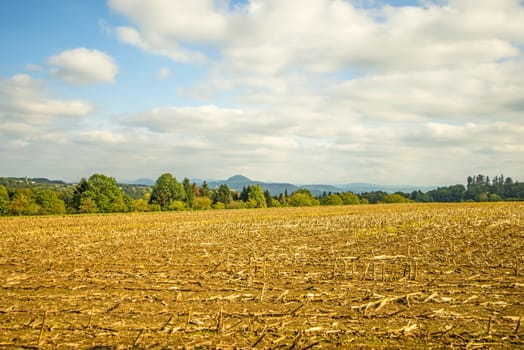 harvested corn field with mountain in the background