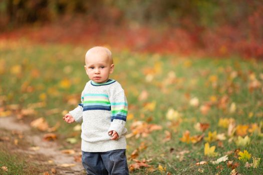 Happy baby boy with autumn leaves in the park