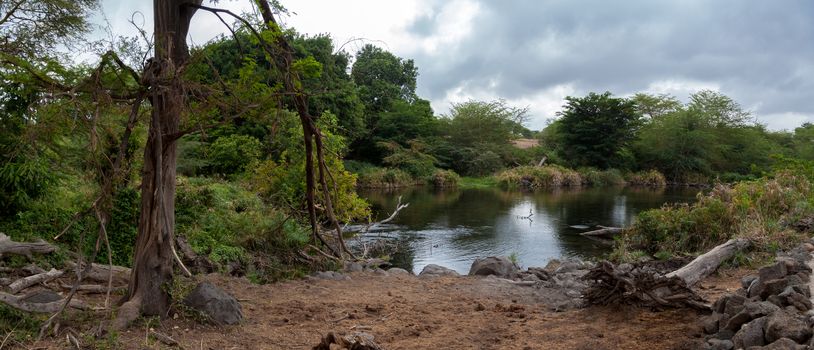 Lake in the scenery of Kenya, Mzima Springs