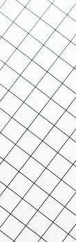 White grid paper texture, back to school background