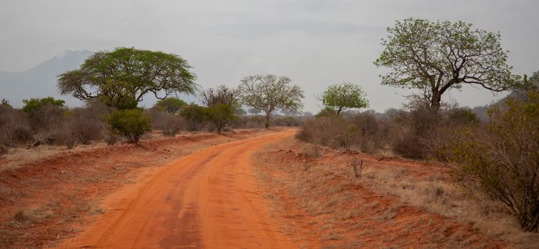 Landscape in Afrika, on safari in Kenya