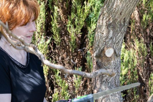 Red-haired woman cuts off thick branches of weeping willow during spring cleaning on the holiday plot.