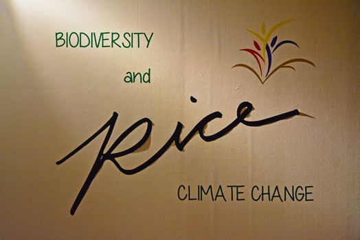 National museum of Anthropology biodiversity and rice wall sign 