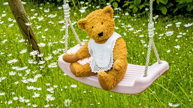 Teddy bear on swing