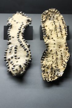 Pair of Roman sandal soles exhibited in a museum