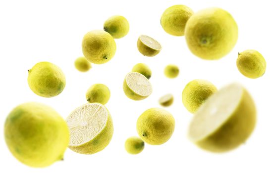 Yellow limes levitate on a white background