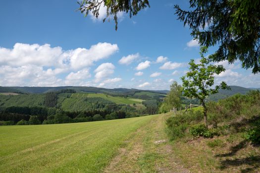 Sauerland region close to Winterberg with a small hiking trail, 