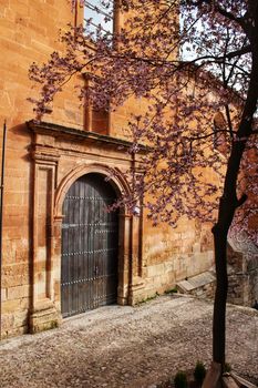Cherry tree in bloom next to San Miguel Arcangel parish in Alcaraz
