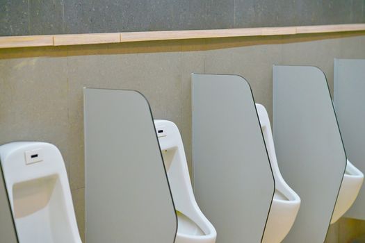 Male urinal with cover in toilet