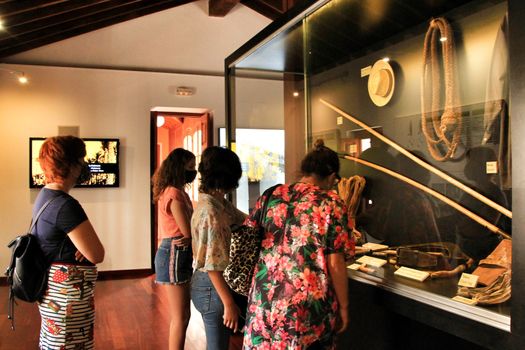 Tourists visiting the palm tree museum in Elche