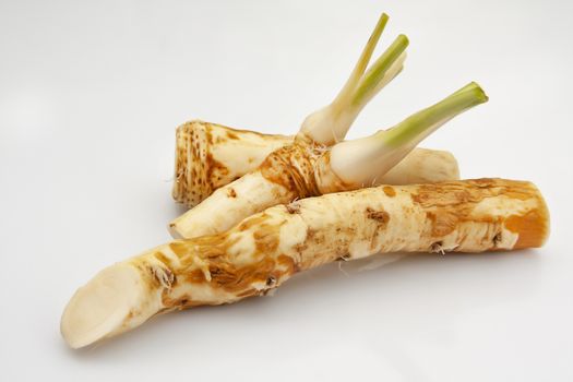 horseradish root close up