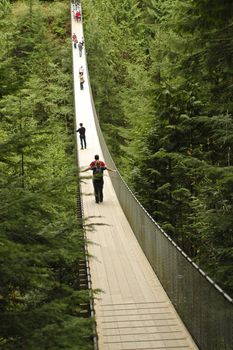 perspective of suspension bridge in a deep forest