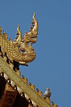 Naga dragon golden statue in Northen Thailand temple