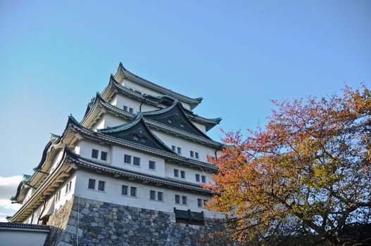 Ancient Osaka castle and maple trees in Autumn Kansai Japan
