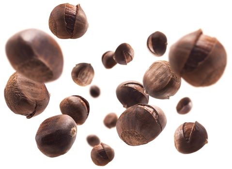Ripe chestnuts levitate on a white background