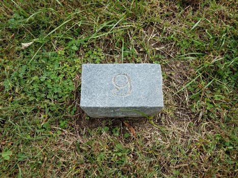 grey stone with number nine in grass