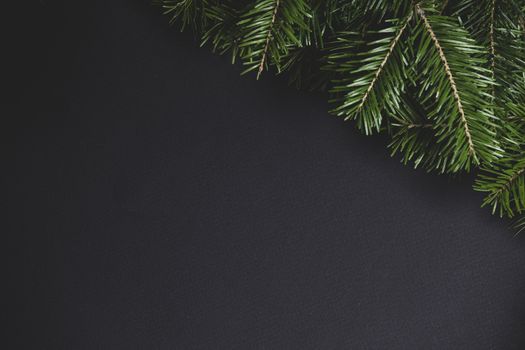 Christmas fir tree on black background