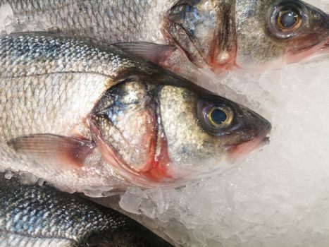 Fresh chilled fish with scales lying on ice in a shop window, store counter or supermarket.