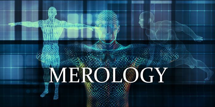 Merology