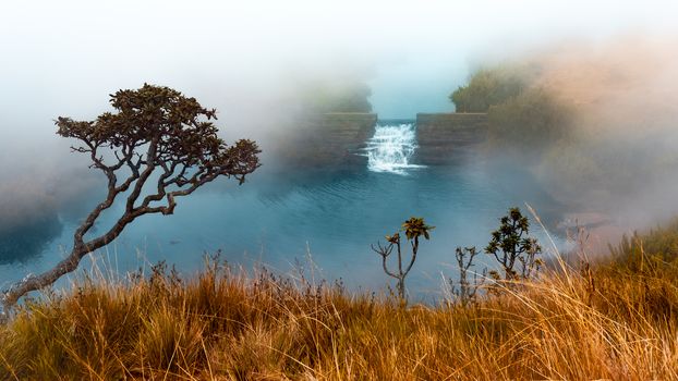 Cool foggy climate on horton plains water stream
