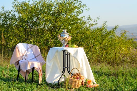 On the field under the bushes is a table with a samovar and fruit, next to it is a chair