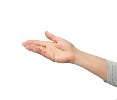 female open palm extended forward, imitation of holding an objec