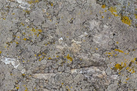 gray molded stone background