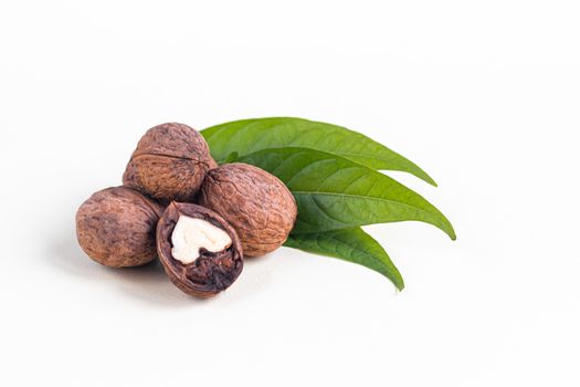 Walnuts. Contains beneficial vitamins and minerals. On a gray background.
