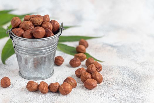 Hazelnut. Nuts contain healthy vitamins and minerals. On a gray background.