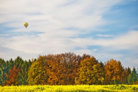 hot-air balloon with autumnal painted forest