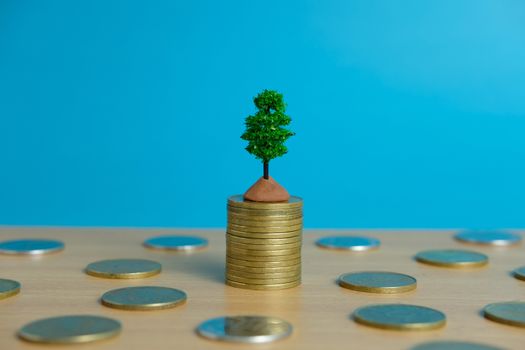 financial investment, growing money tree on coin stack