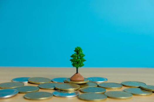 financial investment, growing money tree on coin stack
