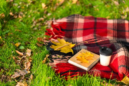 Leisure with a warm blanket and a cup of coffee in an autumn par