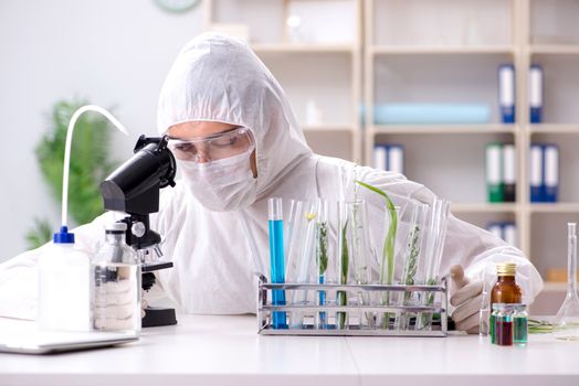 Biotechnology scientist chemist working in lab
