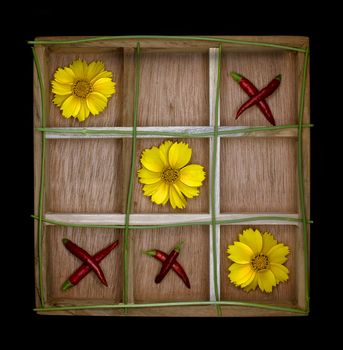 Noughts And Crosses Tic-tac-toe With Daisies And Chillies