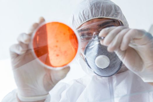 Chemist working in the laboratory with hazardous chemicals 