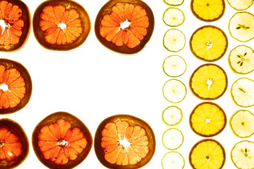 top view of slices of citrus fruits isolated on white background.